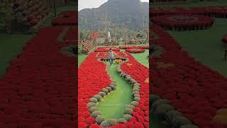 Incense Village #vietnam #incensevillage #mayankbigdelhifoodie #youtubeshorts