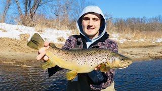 Minnesota Trout Fishing (GIANT TROUT!)