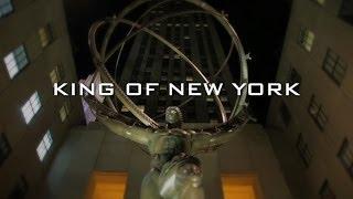 ZOO YORK: KING OF NEW YORK