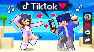 Using The TIKTOK MOD In Minecraft!