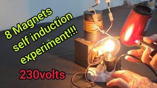 Amazing self induction experiment - 8 magnets!