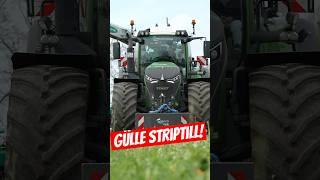 Gülle StripTill für Mais im Frühjahr #automobile #farming #landwirtschaft #2024 #agriculture #fendt