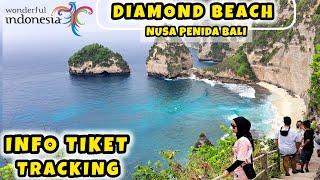 DIAMOND BEACH NUSA PENIDA BALI