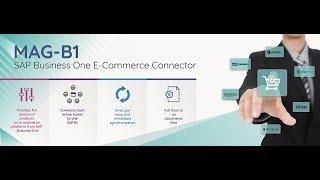 SAP Business One - MAGB1 eCommerce Connector