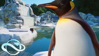 Icy Penguin Habitat  Aquatic Pack Zoo | Planet Zoo Speed Build - Aquatic Pack