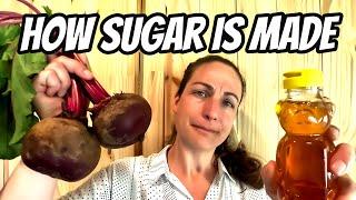 Making Sugar At Home - Beets, Honey, Sorghum & Maple Sugar