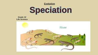 Speciation | Evolution Life science grade 12 |
