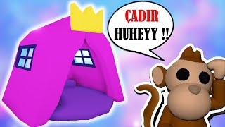 MAYMUŞA ÇADIR ALDIM !! ÇADIRDA UYUDUK !!  Roblox Adopt Me ‍‍