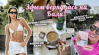 ВЛОГ БАЛИ / Как получить визу в США в 2024? Шопинг в Дубае. Почему опять Бали?