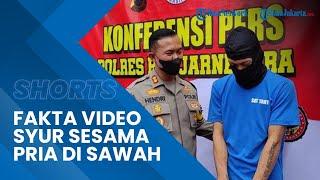 Fakta Video Mesum Pasangan Sejenis di Area Persawahan Banjarnegara, Sengaja untuk Diperdagangkan