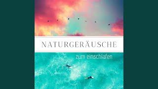 Yoga und Natur