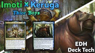 Imoti, Celebrant of Bounty with Keruga, the Macrosage Companion - EDH Deck Tech "Thicc Boys"