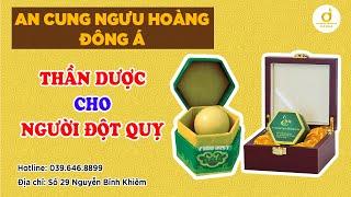 AN CUNG NGƯU HOÀNG HOÀN ĐÔNG Á