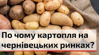 Скільки коштує картопля на чернівецьких ринках та чому такий попит на цей овоч | С4