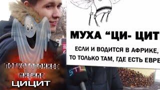 Потустороннее мение: что такое  Цицит?