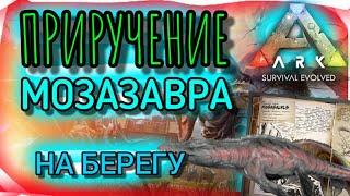 ПРИРУЧЕНИЕ МОЗАЗАВРА в ARK MOBILE | АРК МОБАЙЛ, ARK Survival Evolved, Mosasaur