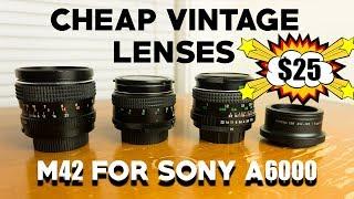 M42 Lenses on Sony A6000 - 6 CHEAP Vintage Lenses You Can Adapt to Your Mirrorless Camera