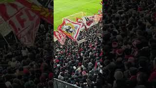 Colonia FC ️ #bundesliga #effzeh #fussball #ultras