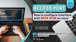 How to Configure Access Port with Data VLAN on Cisco Devices | Network Handbook