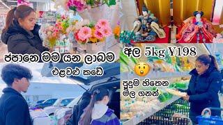 හිනා බොනික්කන් | Life in japan 