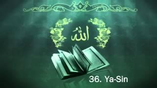 Surah 36. Ya-Sin - Sheikh Maher Al Muaiqly