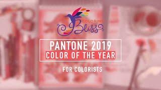 How to Use the Pantone 2019 Color of the Year | For Colorists