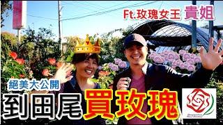 【田尾系列ep9】｜記得開字幕｜美加美玫瑰園，田尾老牌玫瑰園之一，滿園玫瑰在冬春季盛開，春假到田尾買花別錯過。＃玫瑰＃美加美玫瑰園＃月季＃田尾