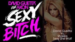 David Guetta vs. Shakira - Sexy She Wolf