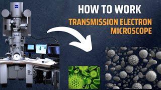 Transmission Electron Microscope (TEM) | How do Electron Microscopes Work?