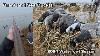 BRANT and SEA DUCK Hunt - New Jersey Waterfowl Hunting