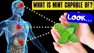 10 POWERFUL Reasons Why You Need To Have Mint Leaves Every Day