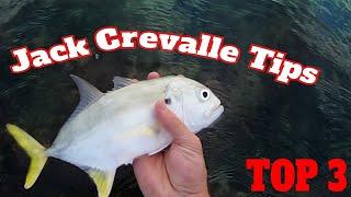 Jack Crevalle Fishing: How To Catch Jack Fish From The Surf: Surf & Jetty Fishing For Jack Crevalle