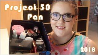 Project 50 Pan | Introduction