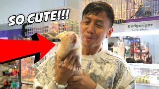 Visiting a Plant & Pet Expo in Manila, Philippines  | Vlog #1790