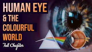 Human Eye and Colourful World  Full chapter  (Animation) | Class 10 Science Chapter 11 | CBSE