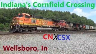 Indiana's Cornfield Crossing: A Day of Trains at Wellsboro