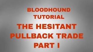 The Hesitant Pullback Bloodhound Tutorial, Part I