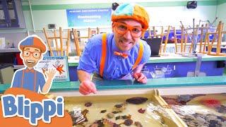 Blippi Visits a Zoo & Aquarium! | Learn Zoo Animals for Kids | Educational Videos for Toddlers