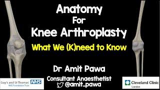 Innervation of the Knee & Regional Anaesthesia