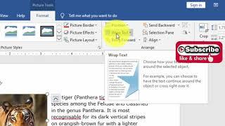 MS #Word - #Wrapping #text around images