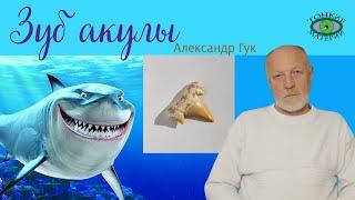  Зуб акулы. Энергия камней. Александр Гук