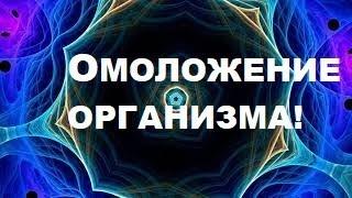 ОМОЛОЖЕНИЕ ОРГАНИЗМА!!!ОСТАНОВКА ПРОЦЕССОВ СТАРЕНИЯ .11 МИНУТ ДЛЯ НАПОЛНЕНИЯ ЭНЕРГИЕЙ.ГИПНОЗ !!!