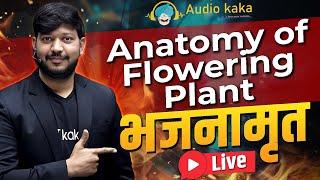 Anatomy of Flowering Plant by #mittalsir NEETkakaJEE #neet2024