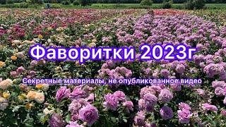 Фаворитки роз 2023 г.Секретный материал)