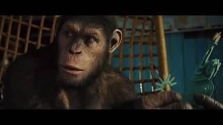 Caesar vs Neighbor Fight Scene (Rise of the Planet of the Apes)