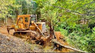 NEW ROAD CONSTRUCTION IN THE FOREST