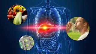 What does your liver do? Liver Function (Spanish Version)