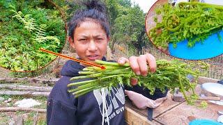 I am Picking feddlehead fern in the Jungle || Village local green leaf vegetable