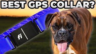 NEVER LOSE YOUR DOG - Fi GPS Dog Collar Review