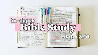 In-Depth Bible Study on John 3:16 | Delight Bible Study Series #biblestudy